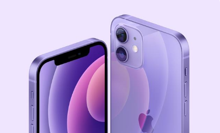 古浪苹果手机维修分享紫色版iPhone 12有什么技术亮点 